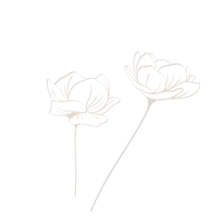 BG (3)