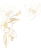 Group (4)
