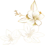 Group (5)